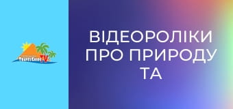 Відеороліки про природу та тварин. Відеороліки про природу та тварин.