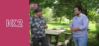 Удачний проект S5E10