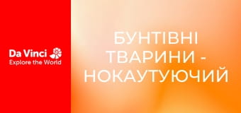 Animal Anarchists - The Knockout Cone Snail