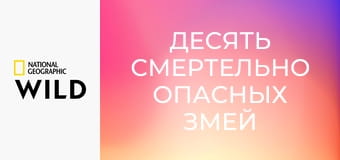 Десять смертельно опасных змей S3E2 - Бразилия