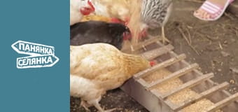 Панянка-селянка, Сезон 5, Випуск 6 Панянка-селянка, Сезон 5, Випуск 6