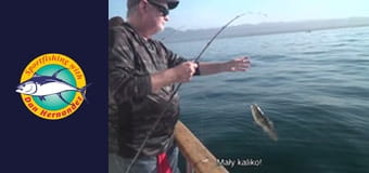 Clemente, part 1 Clemente, part 1