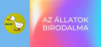 Az állatok birodalma Az állatok birodalma