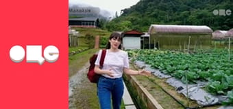 Заробітчани, 1 сезон, 11 еп.