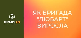Як бригада "Любарт" виросла у бойову силу корпусу "Азов": Серебрянка. Нью-Йорк. Покровськ || НГУ.
