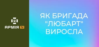 Як бригада "Любарт" виросла у бойову силу корпусу "Азов": Серебрянка. Нью-Йорк. Покровськ || НГУ.