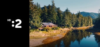 O stromoch a lesoch E3 - Dub európsky O stromoch a lesoch E3 - Dub európsky