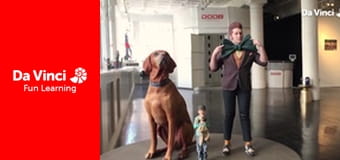 Изобретения - 3D фигурки