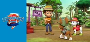 Щенячий патруль. Сезон 4 – серія 11