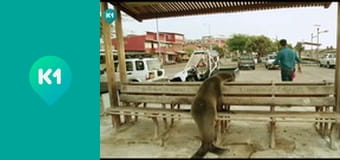 "Так не бывает".