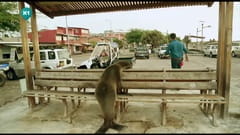 "Так не буває".