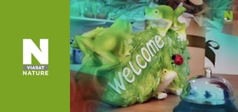 The Bizarre Pet Vets - Episode 3