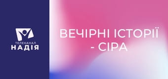 Вечірні історії - Сіра миша!