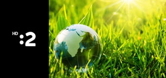 Planéta e. E10 - Biologická ochrana rastlín namiesto jedov. Ako nám červy zachraňujú úrodu Planéta e. E10 - Biologická ochrana rastlín namiesto jedov. Ako nám červy zachraňujú úrodu