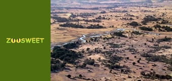 Знайомство з дикою природою, Випуск 5