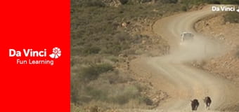 Siyaya - Wildest Cape - West Coast - Heading For Bird Island