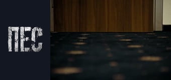 Пёс, Сезон 3, Серия 13