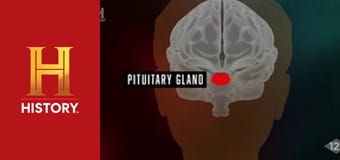 Невероятное с Дэном Эйкройдом, 1 сезон, 3 эп. Удивительные тела.