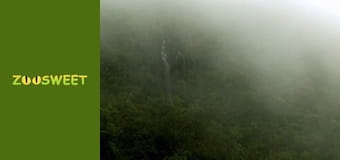 Повернення до природи - серія 1