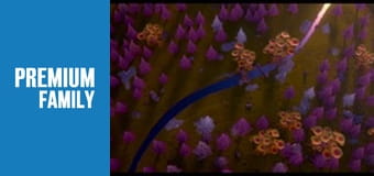 Феї і таємниця країни драконів