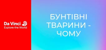 Бунтівні тварини - Чому цикади не люблять ос