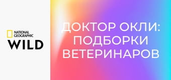 Доктор Окли: подборки ветеринаров Юкона S5E3