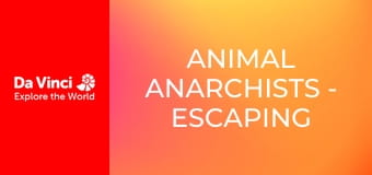 Animal Anarchists - Escaping the Wasp
