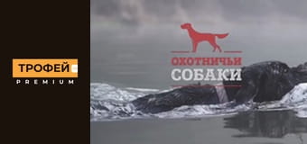 Мисливські собаки. Серiя 14