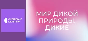 Д/с "Мир дикой природы. Дикие животные". "Остров Мадагаскар".