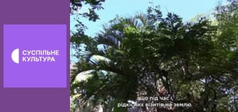 Д/с "Світ дикої природи. Дикі тварини". "Острів Мадагаскар".