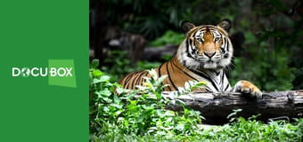 Wyścig o życie S1E10 - Podwodne drapieżniki Wyścig o życie S1E10 - Podwodne drapieżniki