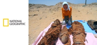 Затерянные сокровища Египта S3E1 - Восхождение Рамсеса к власти