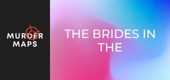 Vraždy neviest vo vani Vraždy neviest vo vani