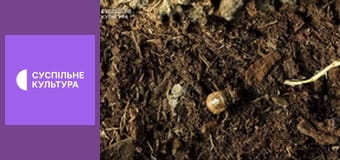 Д/с "Суперздібності тварин". "Під водою".