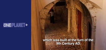 В ритме танца вокруг света. Сезон 1 – серия 1 В ритме танца вокруг света. Сезон 1 – серия 1