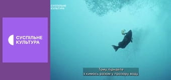 Д/с "Морські хижаки". "Непрості стосунки".