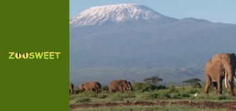 Світ дикої природи - серія 2