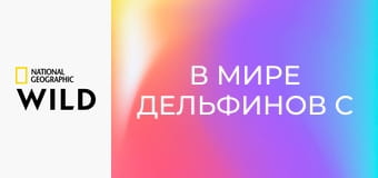 В мире дельфинов с Берти Грегори
