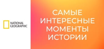 Самые интересные моменты истории S1E1 - Будни президента