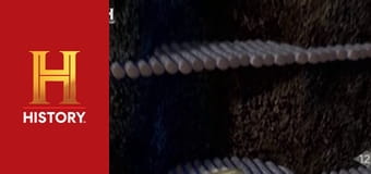 Проклятие острова Оук, 12 сезон, 17 эп. В поисках решения.