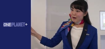 Мистецтво Простору. - серия 22