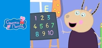 Солнечные очки