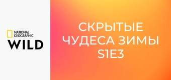 Скрытые чудеса зимы S1E3 - Ледяной мир Европы