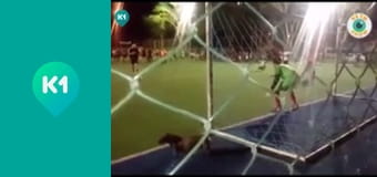 "Так не бывает".