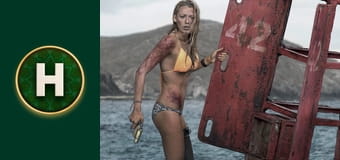 Золото дурнів