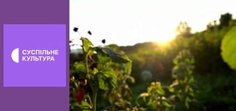 Гімн України.