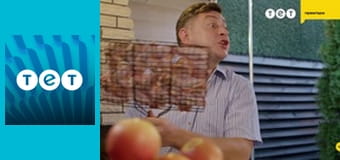 Пригоди Бампера і Суса