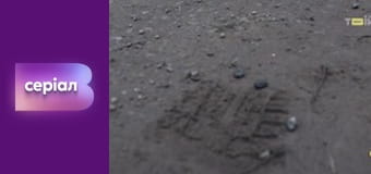 Т/с "Відважні", 11 с.