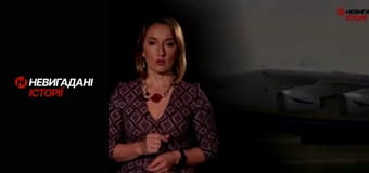 Невигадані історії. Мрія і Богатирі.