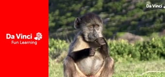 Сіяя - Рушайте з нами - Під водою